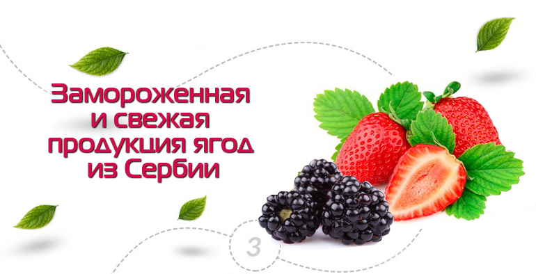 Замороженная и свежая продукция ягод из Сербии